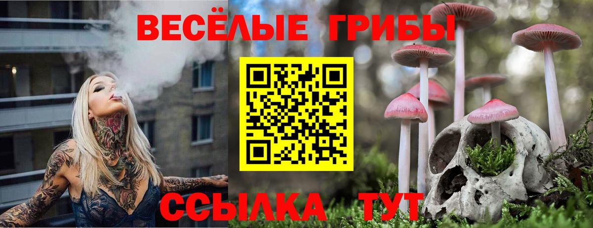 Псилоцибиновые грибы MAGIC MUSHROOMS  Вход с VPN  Ефремов  Галлюциногенные грибы мицелий 