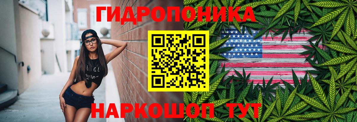 Каннабис марихуана Ефремов